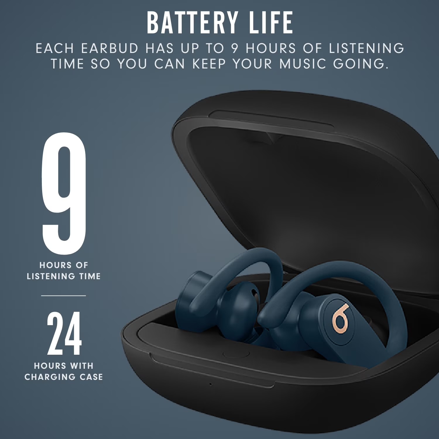 Beats Powerbeats Pro True Wire – Beats Headphone Powerbeats Pro Bewertung und Preis