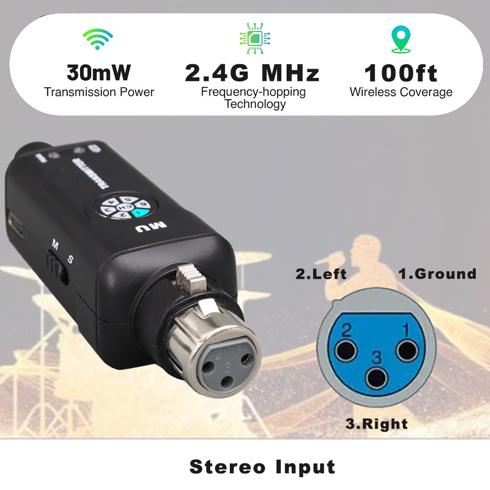 2,4G Kabelloses In-Ear-Monitor – In Ear Monitor Iem Bewertung und Preis